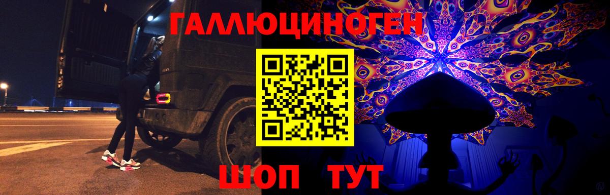 Галлюциногенные грибы Cubensis  Вход с VPN  Тулун 